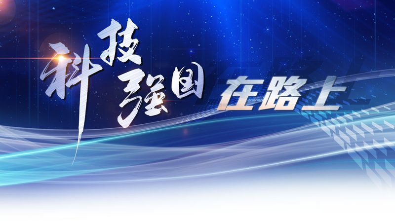 仓库库存管理步骤详解